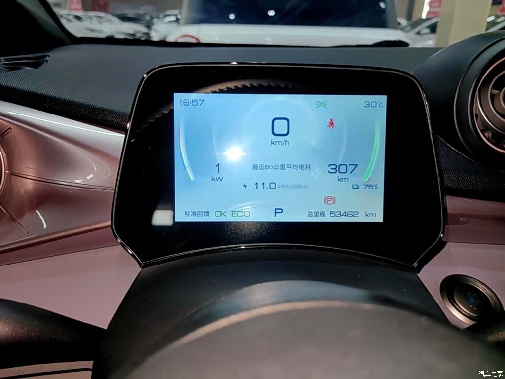 BYD Dolphin, 2023 12