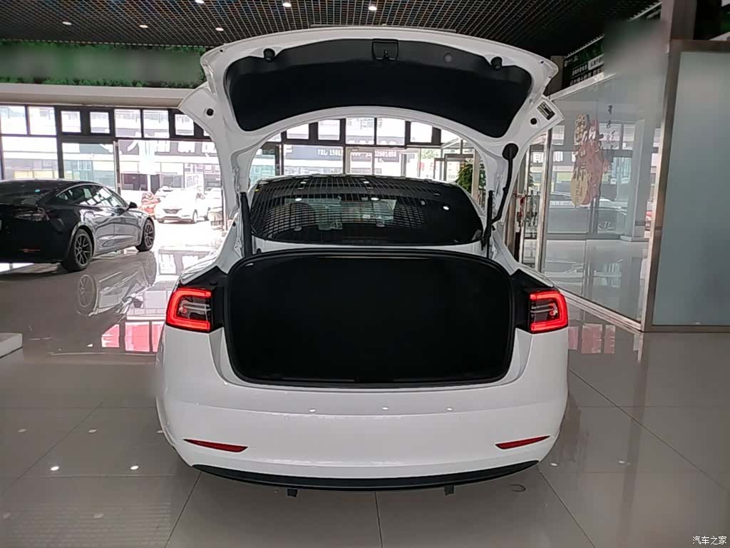 Tesla Model 3, 2021 19