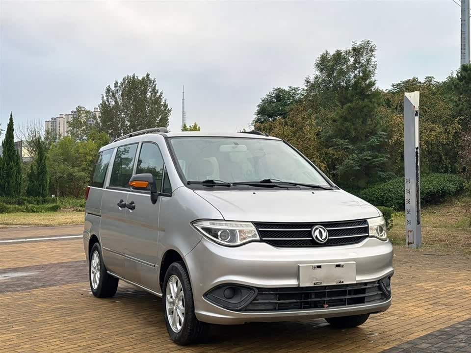 Dongfeng Handsome guest