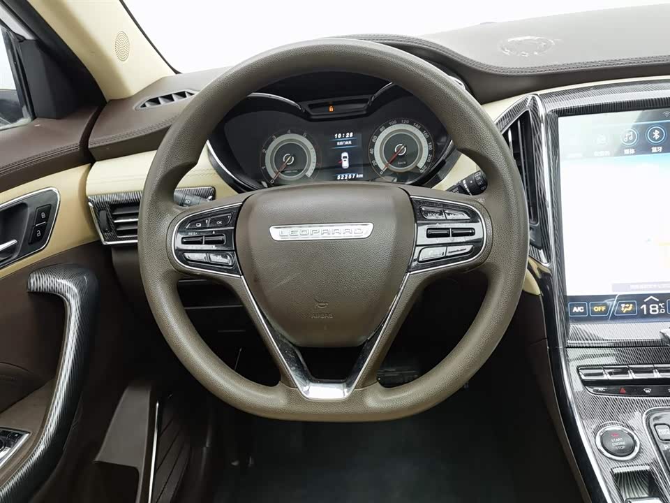 Leopaard Cheetah CS9