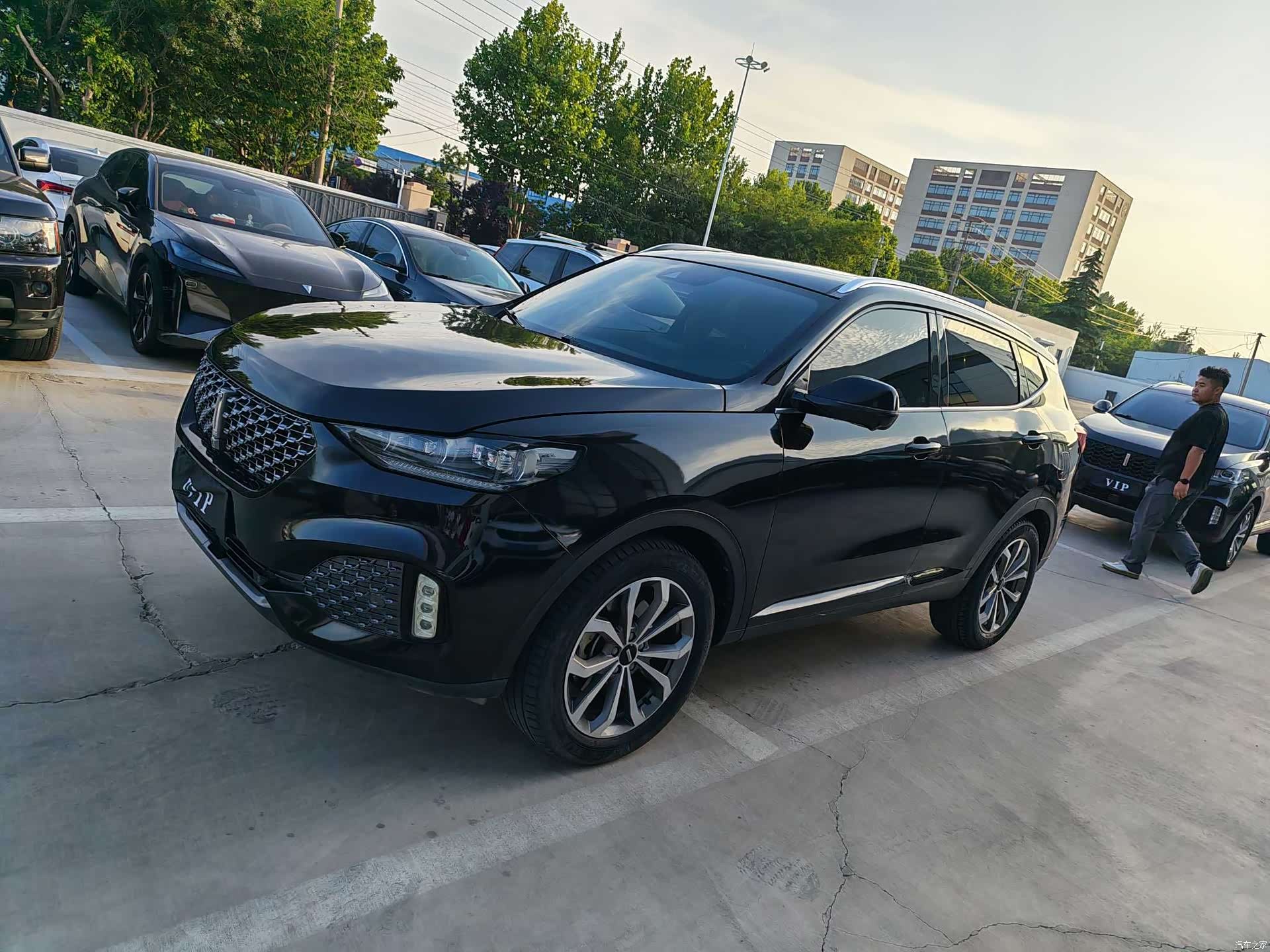 WEY VV6, 2020 1