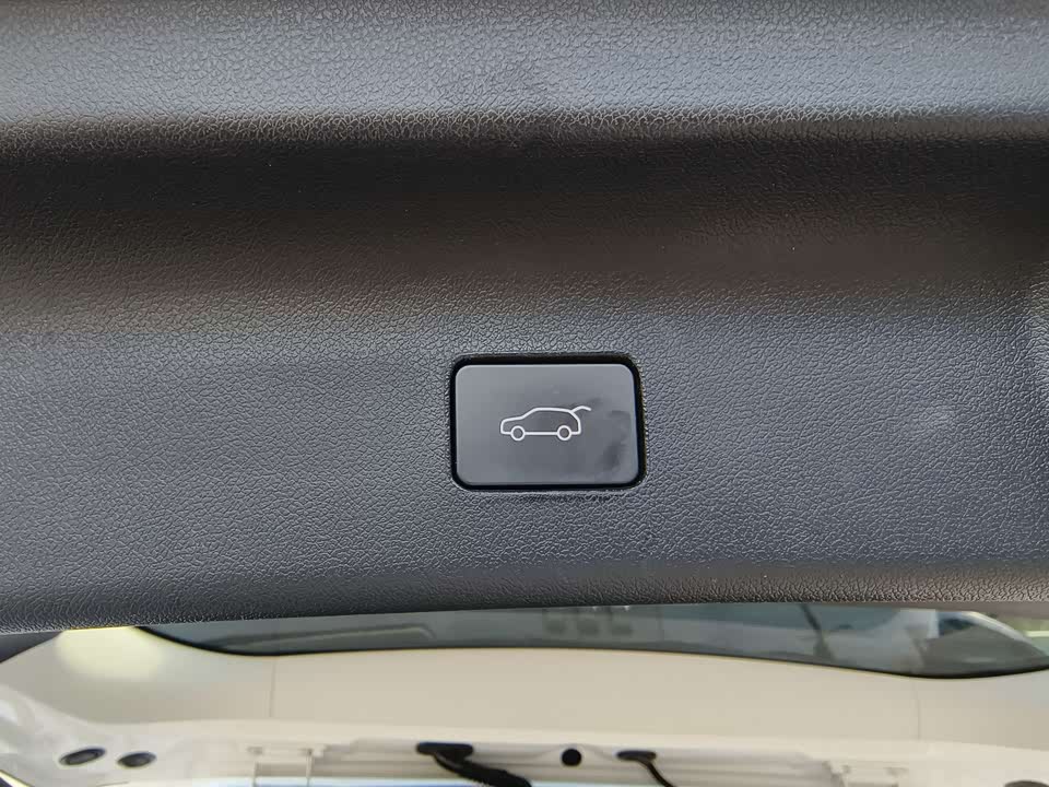 Forthing Popular yachts