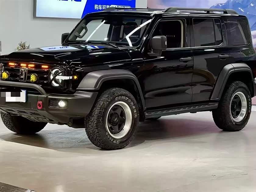 Tank 300