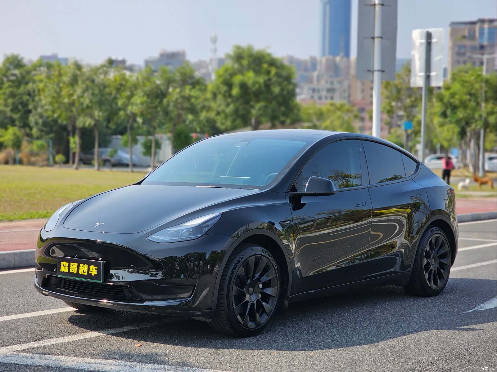 Tesla Model Y, 2023 1