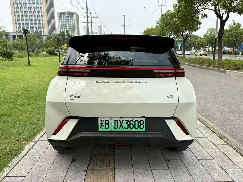 BYD Seagull