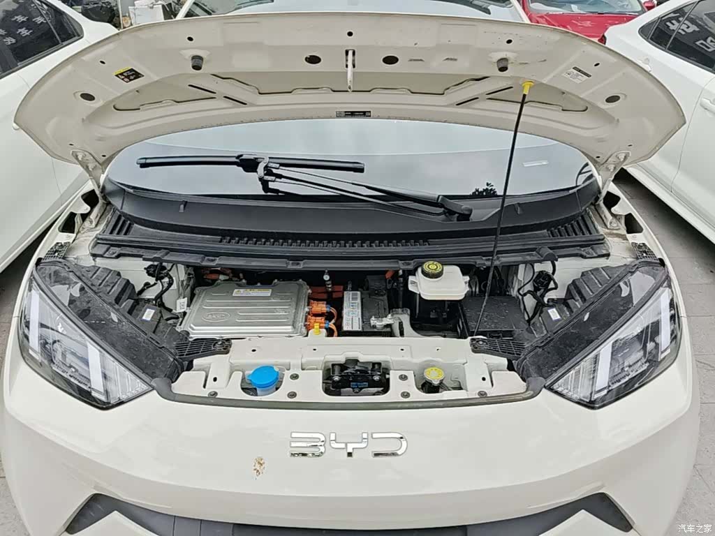 BYD Seagull, 2025 20