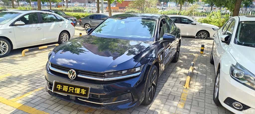 Volkswagen Magotan, 2024 3