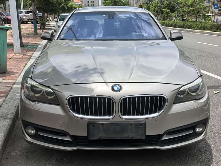BMW 5 Series 2014 520Li dian ya xing
