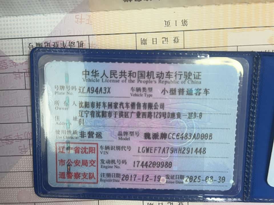 Weipai VV7
