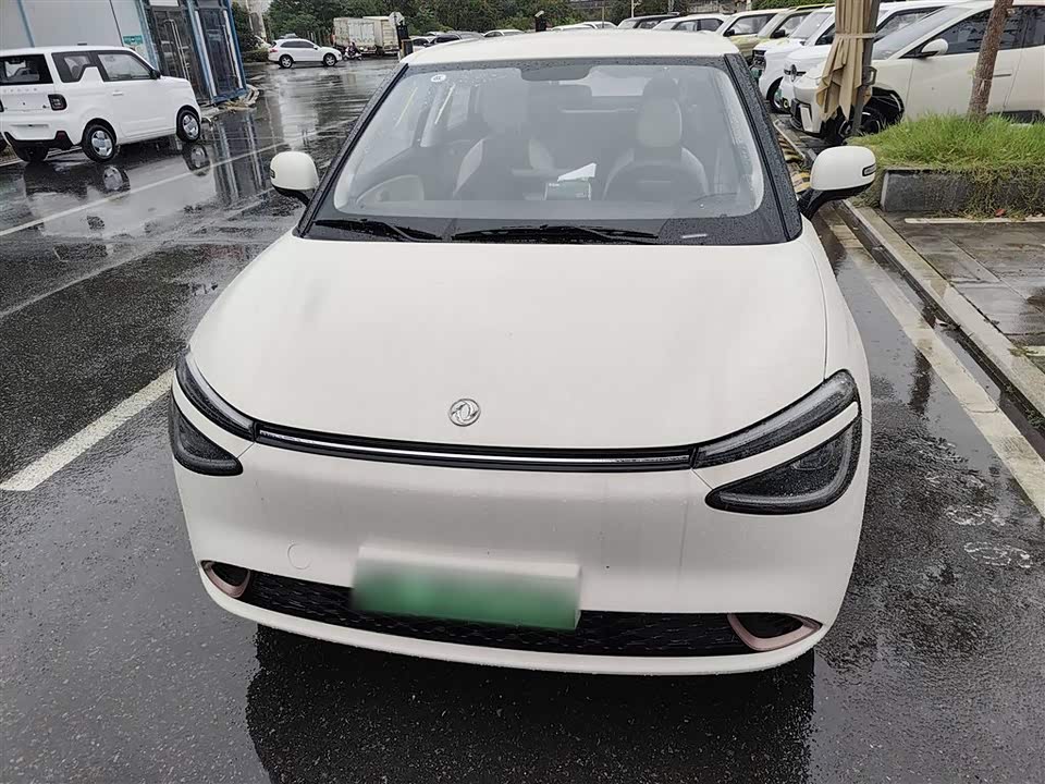 Dongfeng Nammi Nano 01