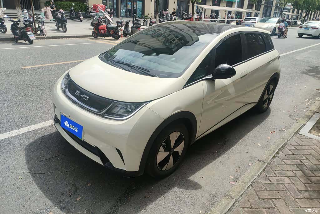BYD Dolphin, 2023 1