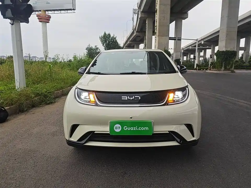 BYD dolphin