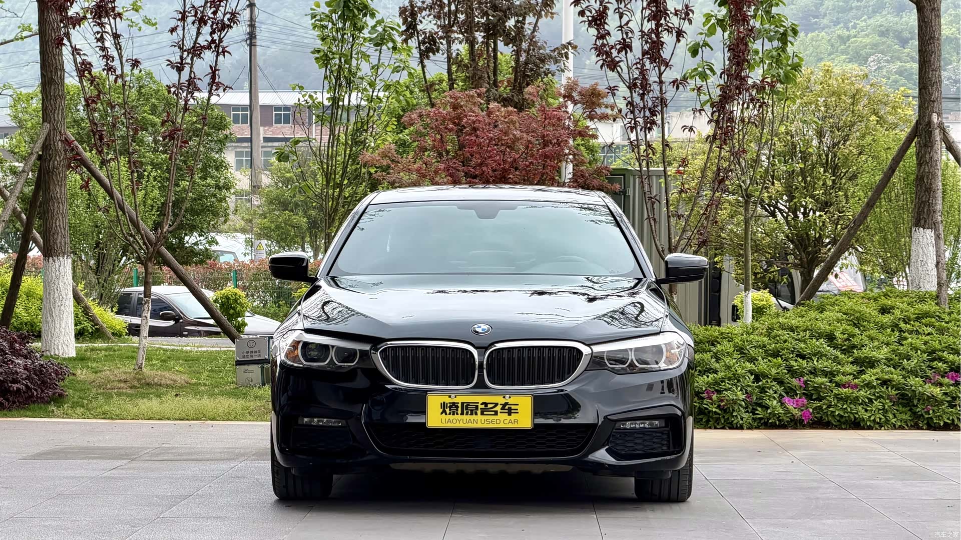 BMW 5 Series, 2019 2