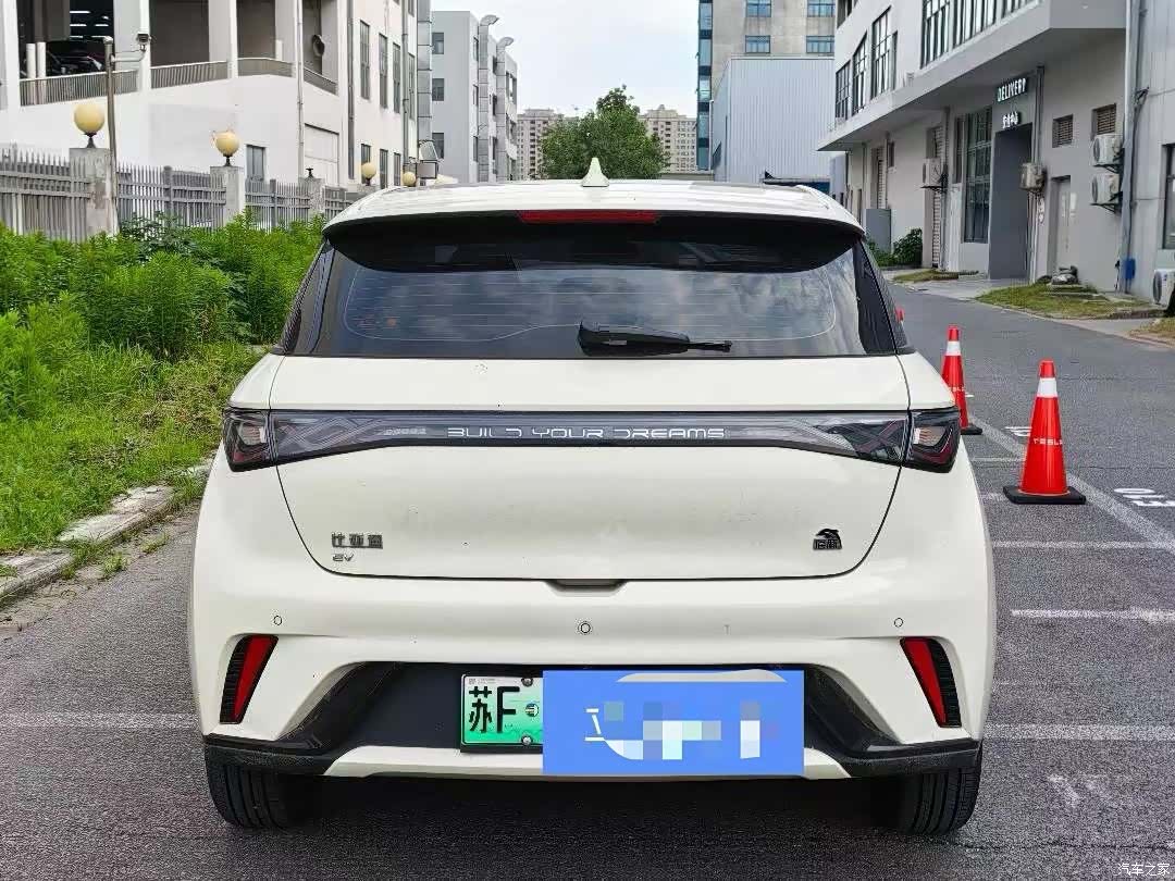 BYD Dolphin, 2023 3