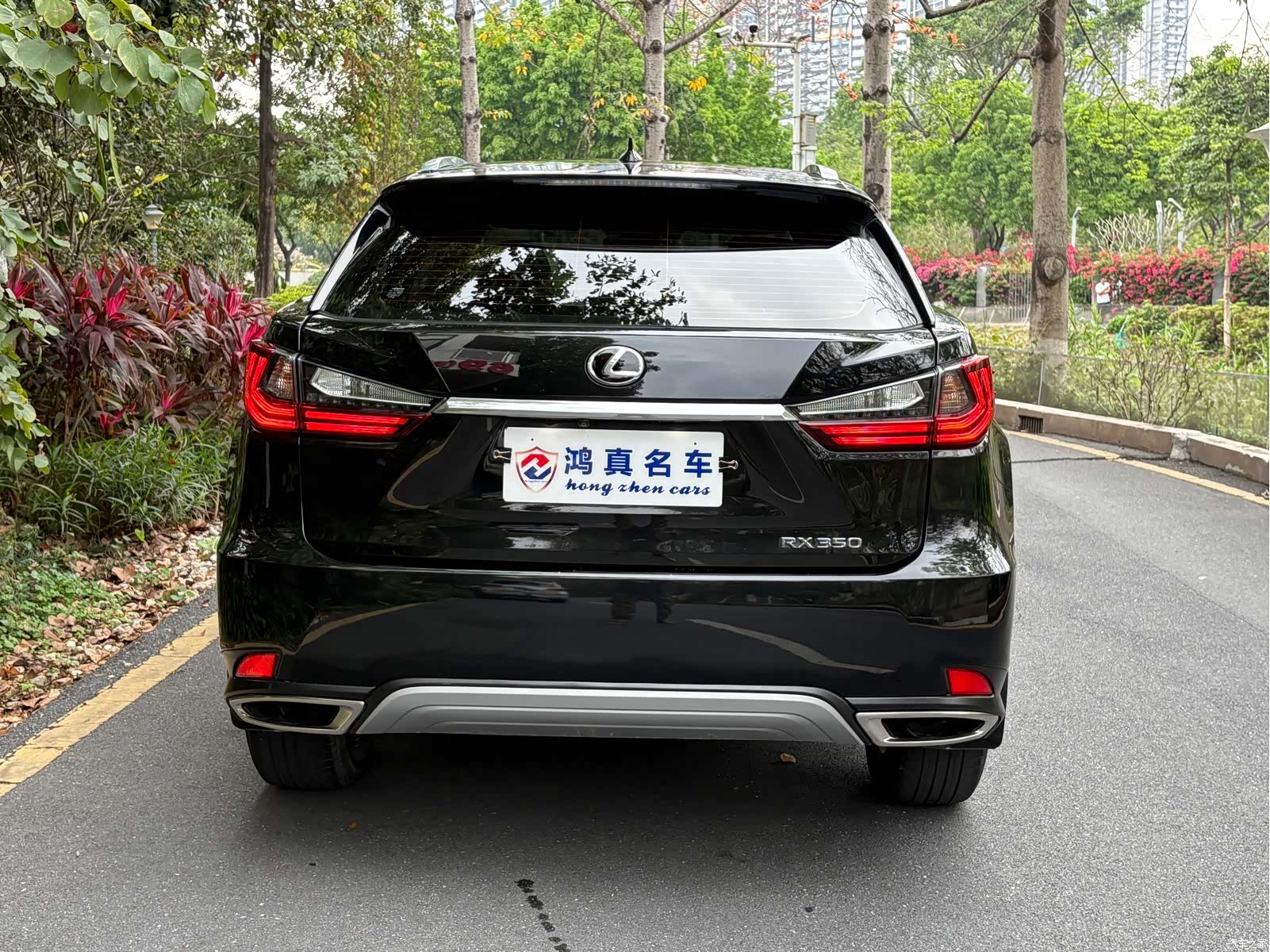 Lexus RX, 2020 4