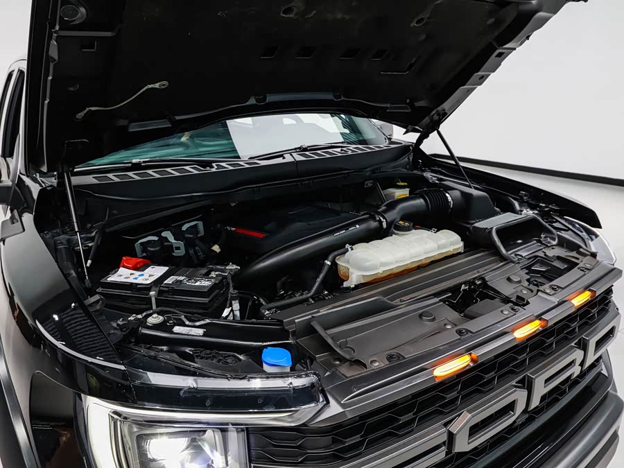 Ford F-150 Raptor 2024, фото 23