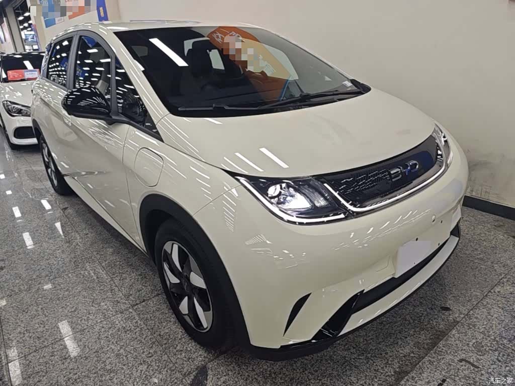 BYD Dolphin, 2024 4