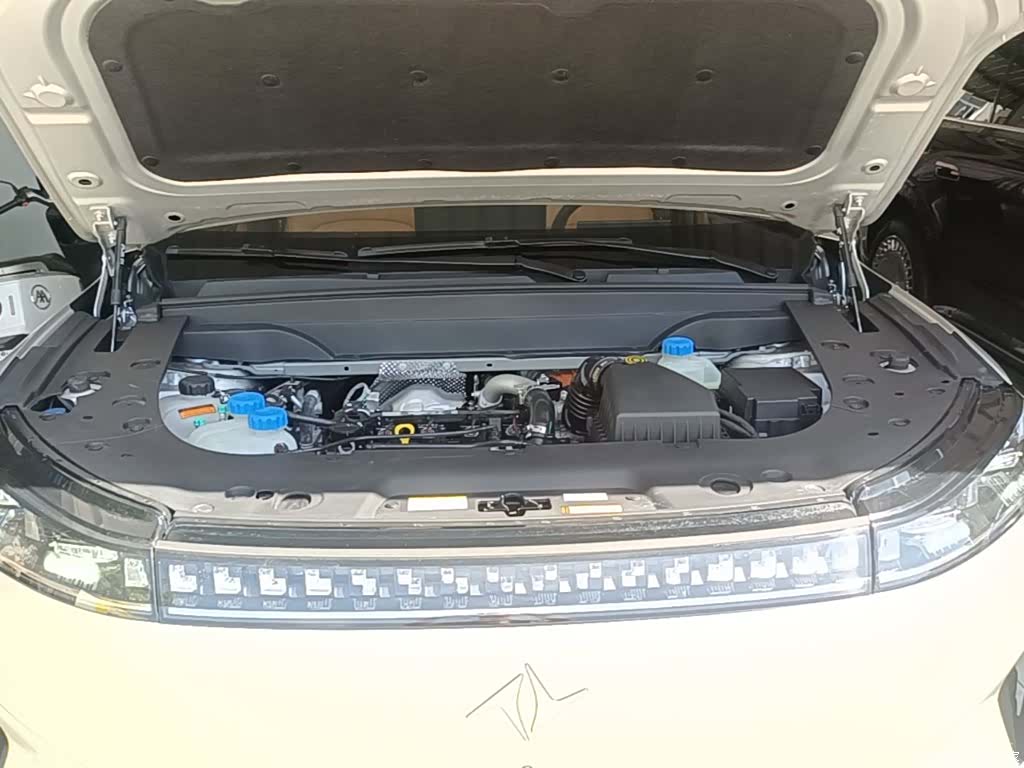 DongFeng eπ008, 2024 20