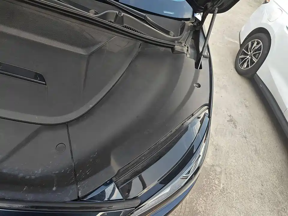 ARCFOX Polar Fox Alpha S