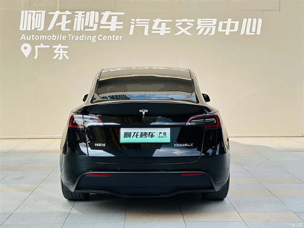 Tesla Model Y, 2024 все фото