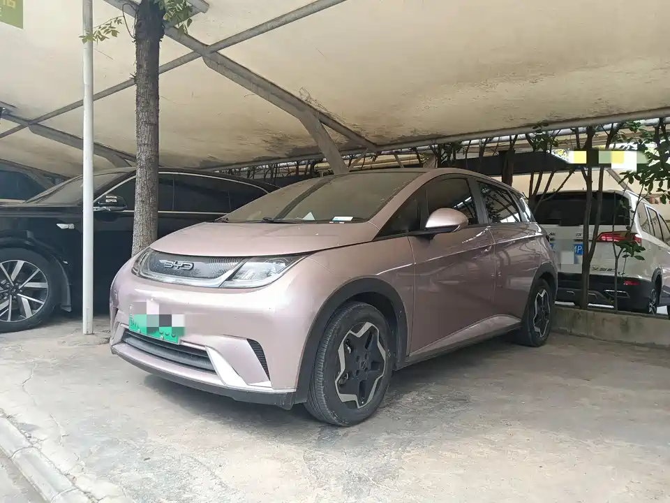 BYD dolphin