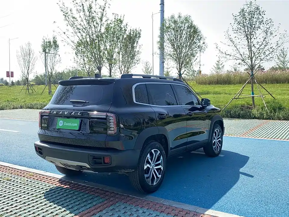 Haval Big dog