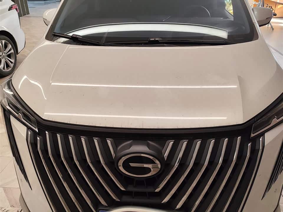 Trumpchi Trumpchi M8