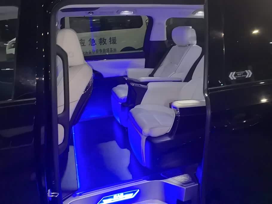 Trumpchi Trumpchi E9