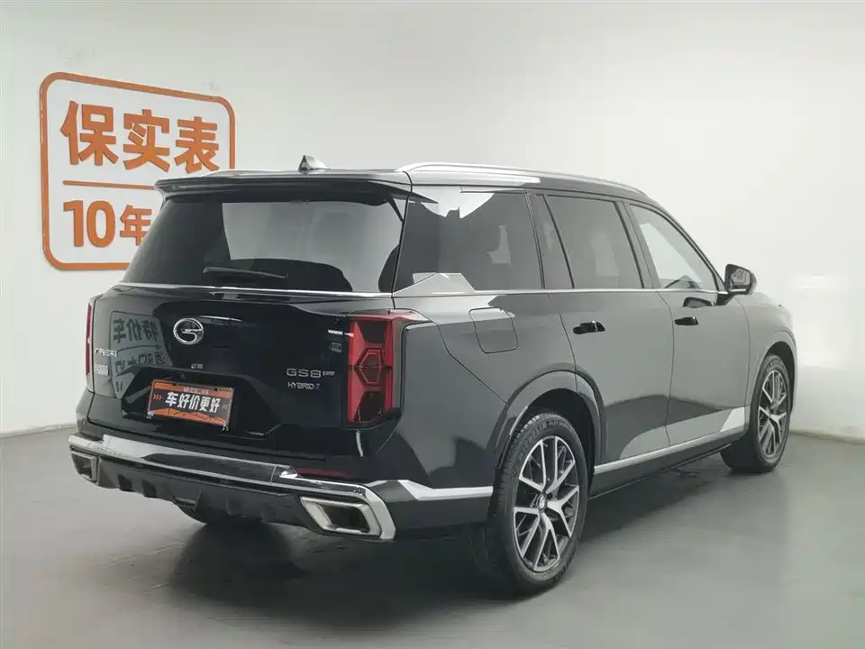 Trumpchi Trumpchi GS8
