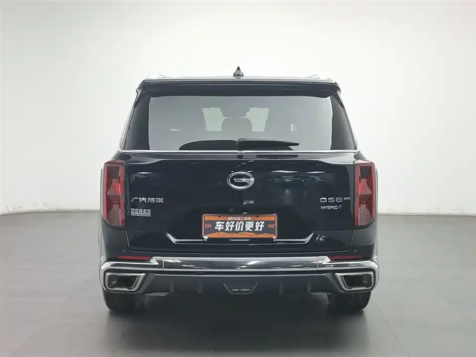 Trumpchi Trumpchi GS8