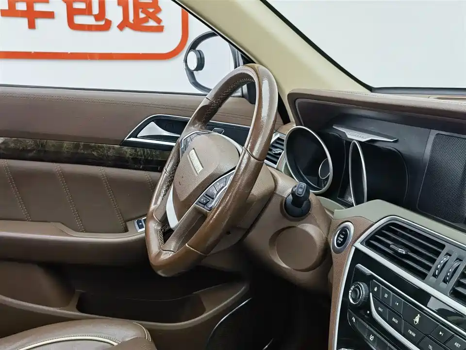 Leopaard Cheetah CS10