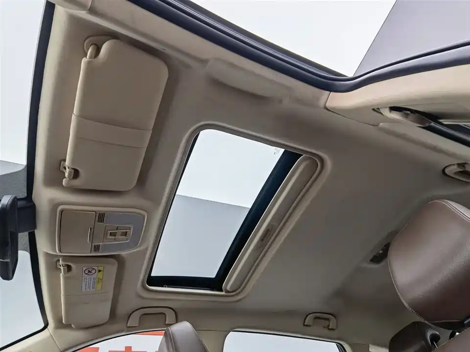 Leopaard Cheetah CS10