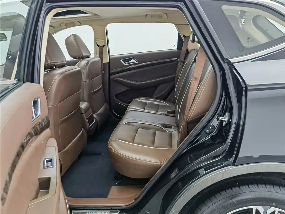 Leopaard Cheetah CS10