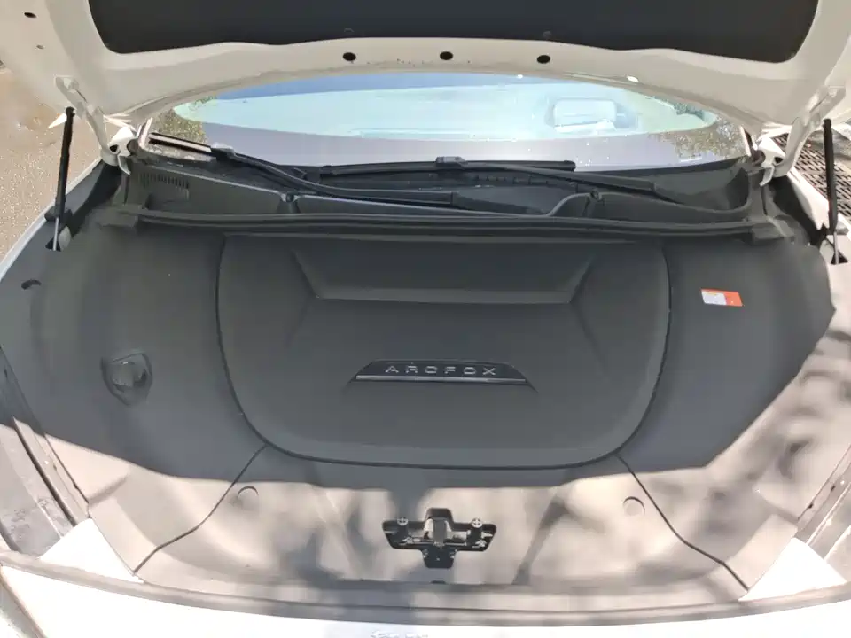 ARCFOX Polar Fox Alpha S