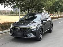 ����RX5 2021�� PLUS 330TGI �Զ����������