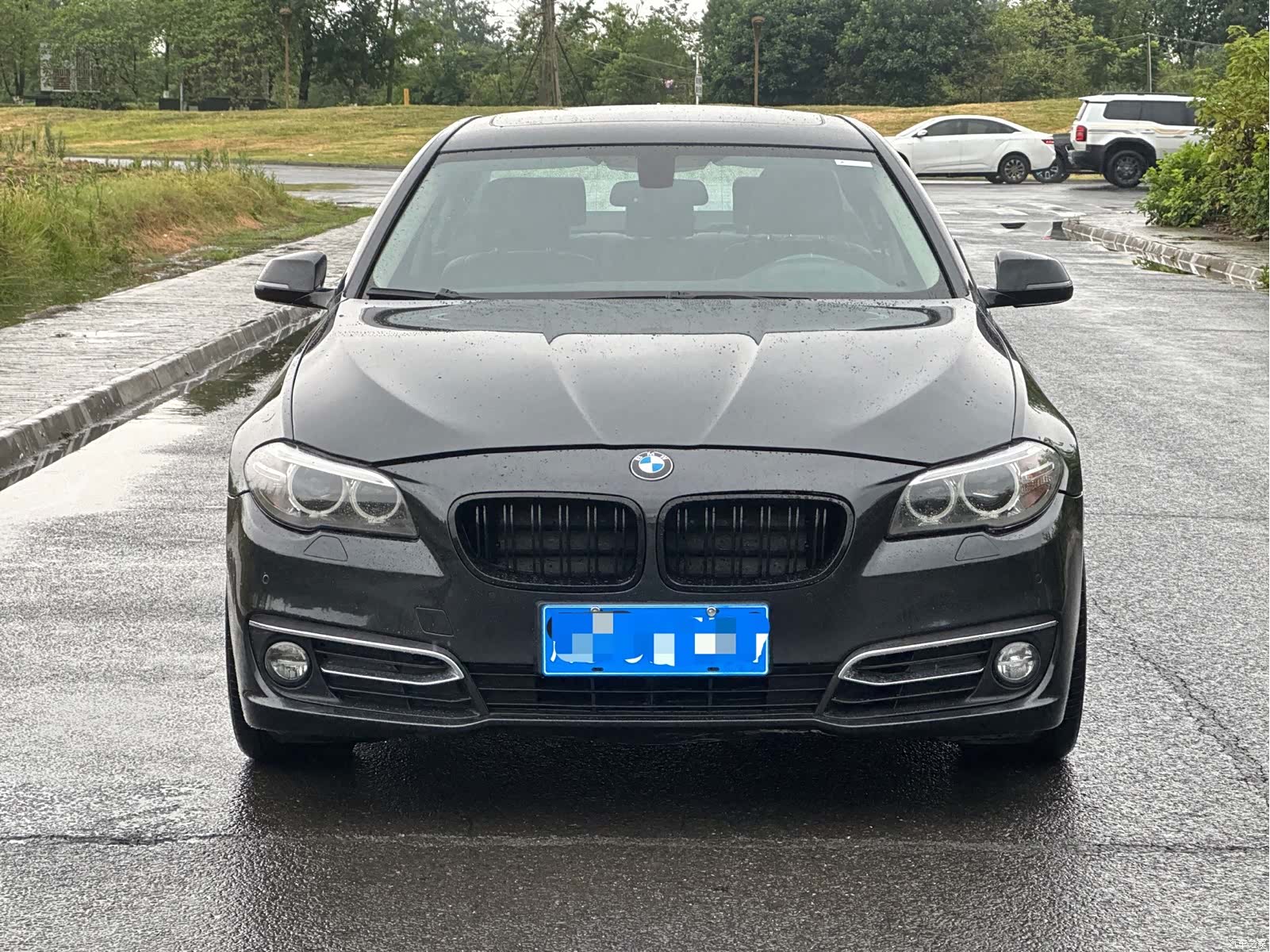 BMW 5 Series, 2017 2