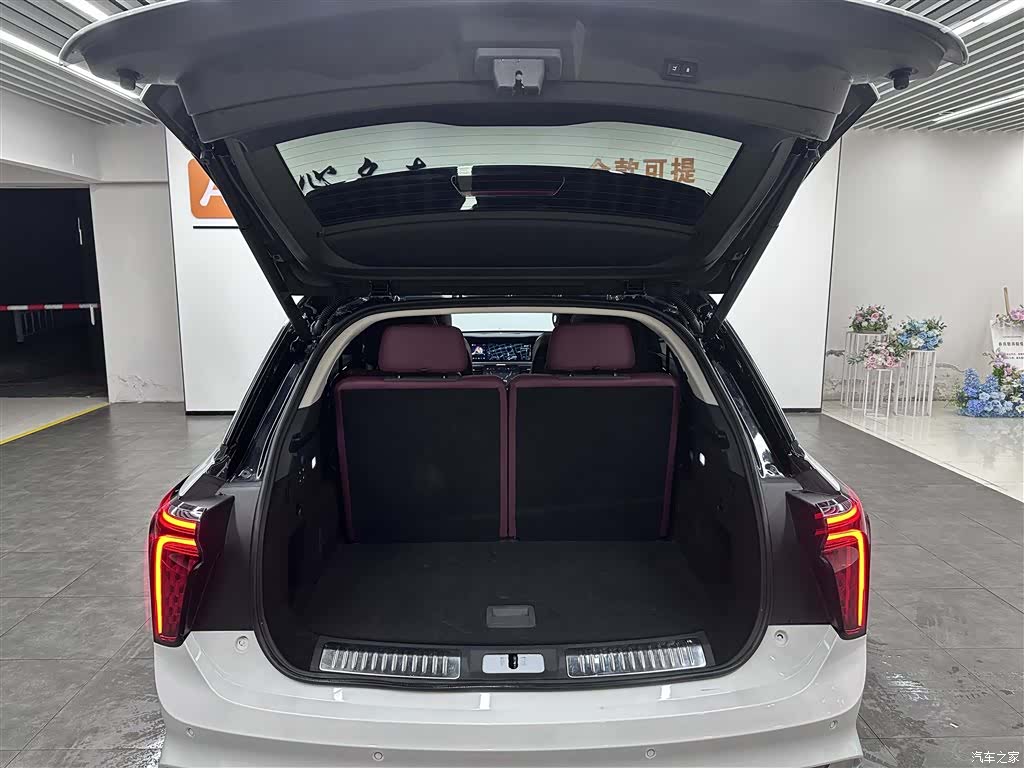 Hongqi E-HS9, 2023 все фото