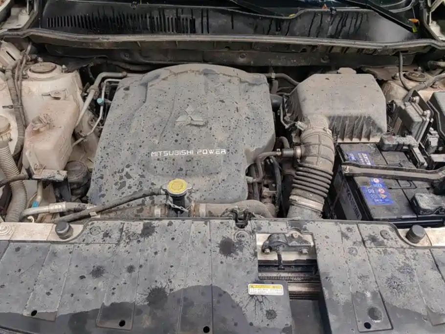 Leopaard Cheetah CS10