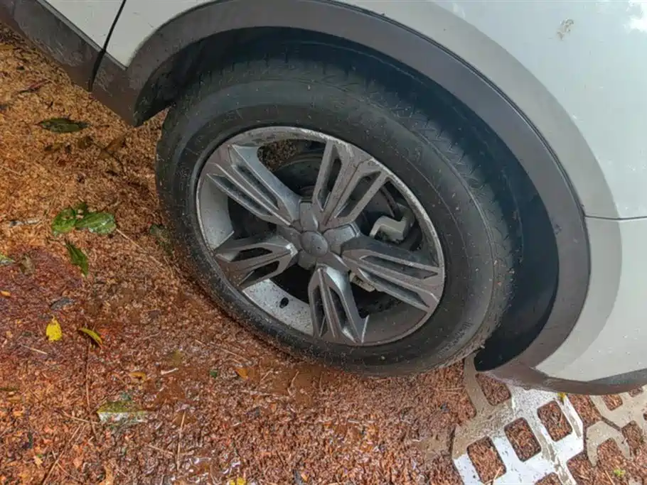 Leopaard Cheetah CS10