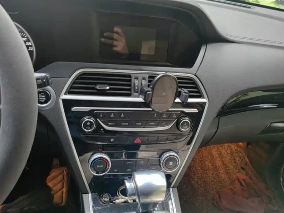 Leopaard Cheetah CS10