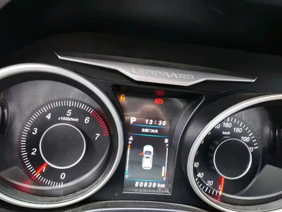 Leopaard Cheetah CS10