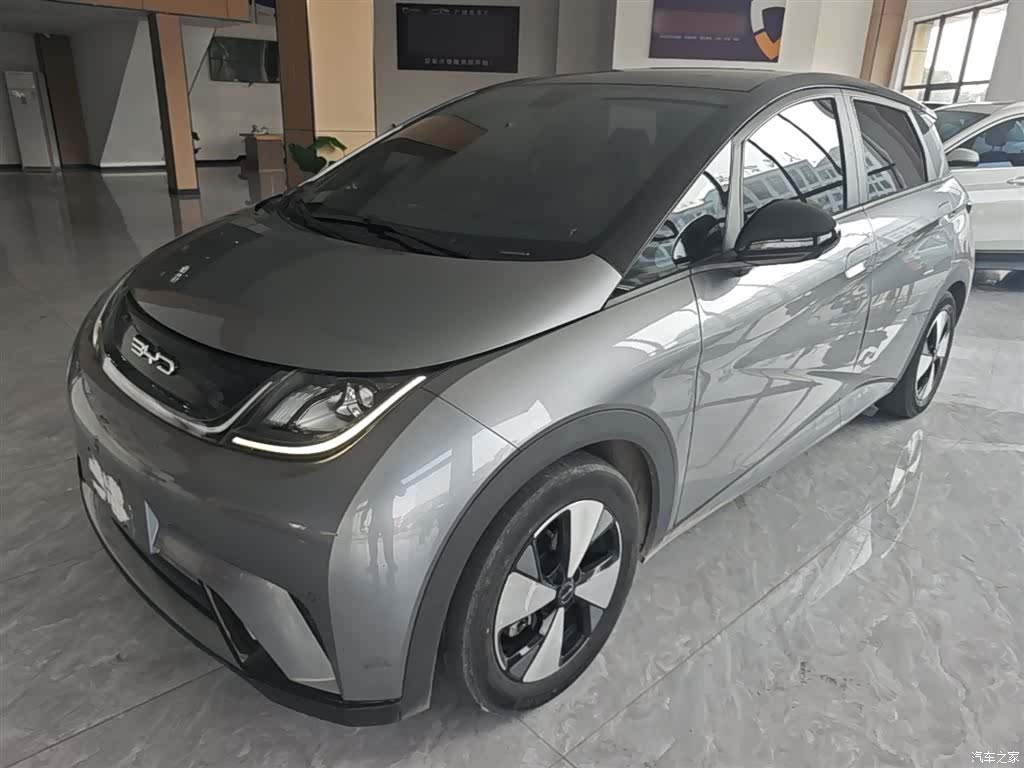 BYD Dolphin, 2023 1