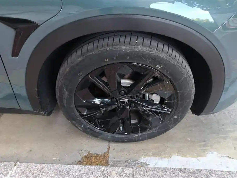 ARCFOX Polar Fox Alpha S