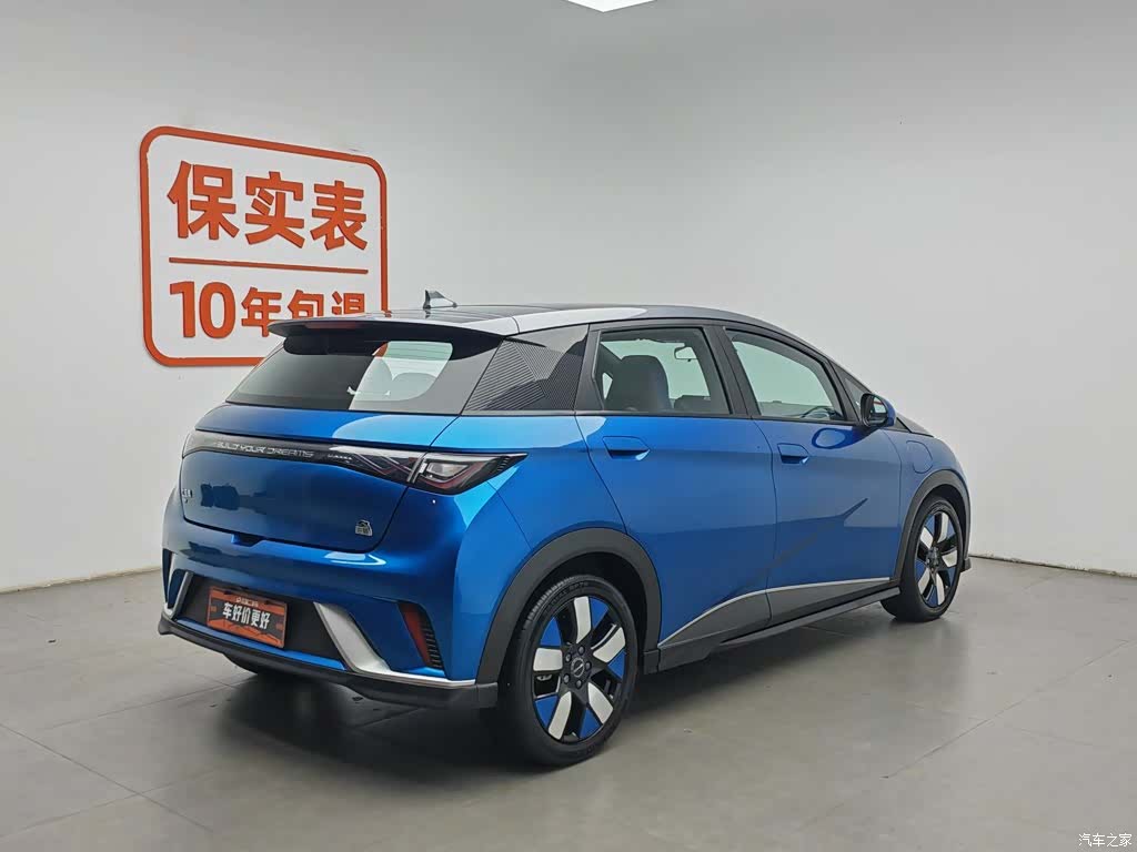 BYD Dolphin, 2022 2