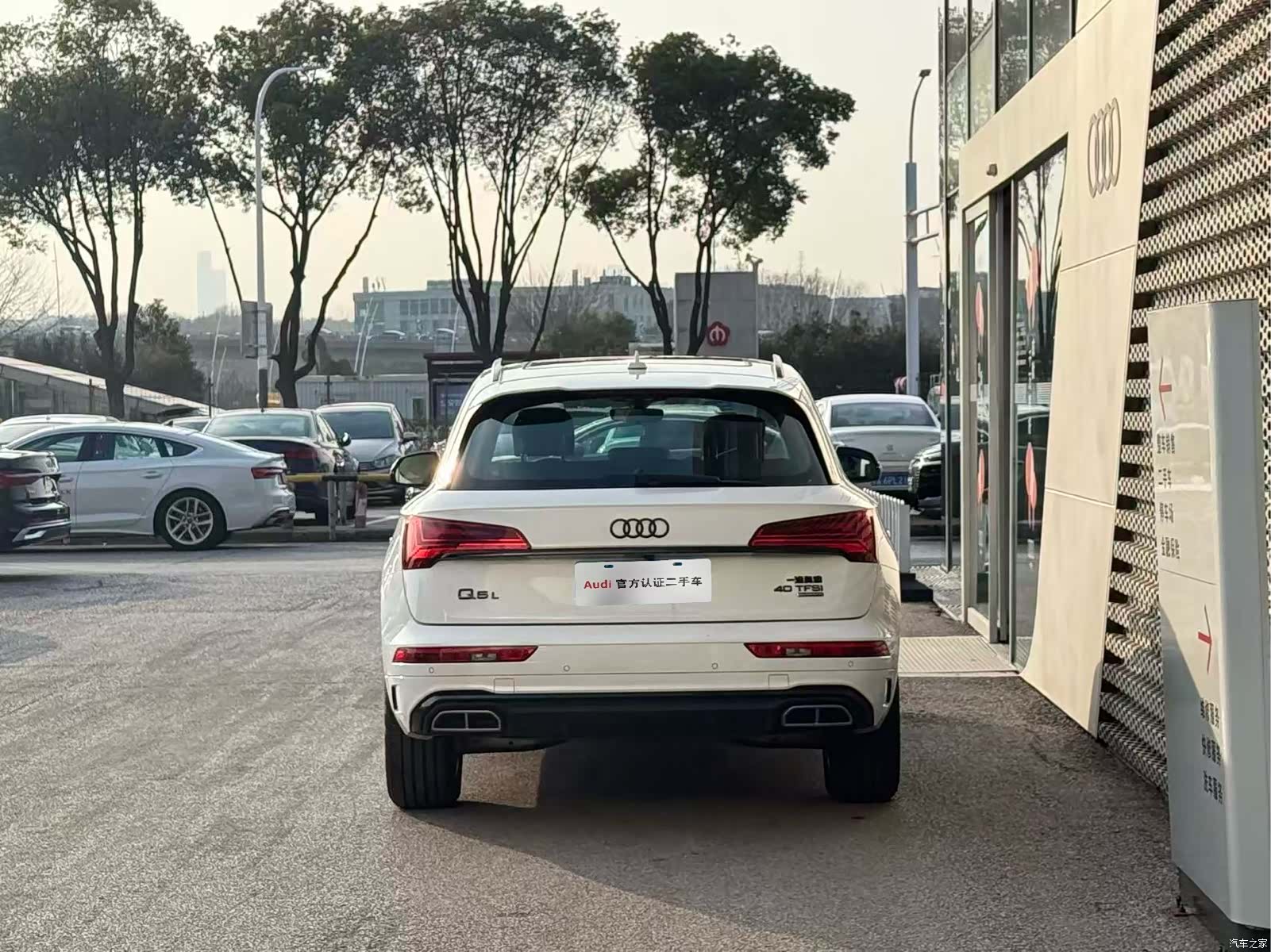 Audi Q5L, 2024 все фото