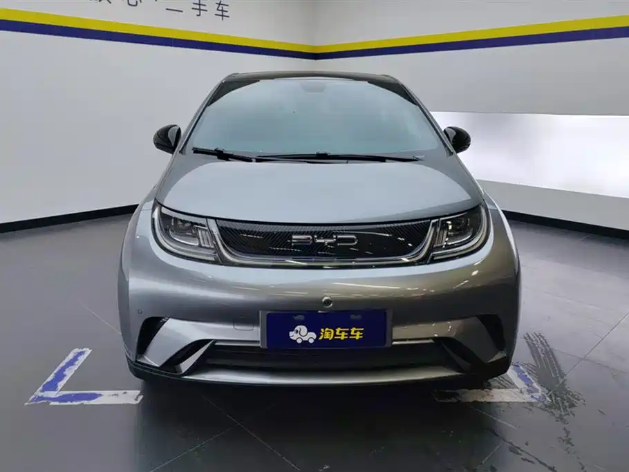 BYD dolphin