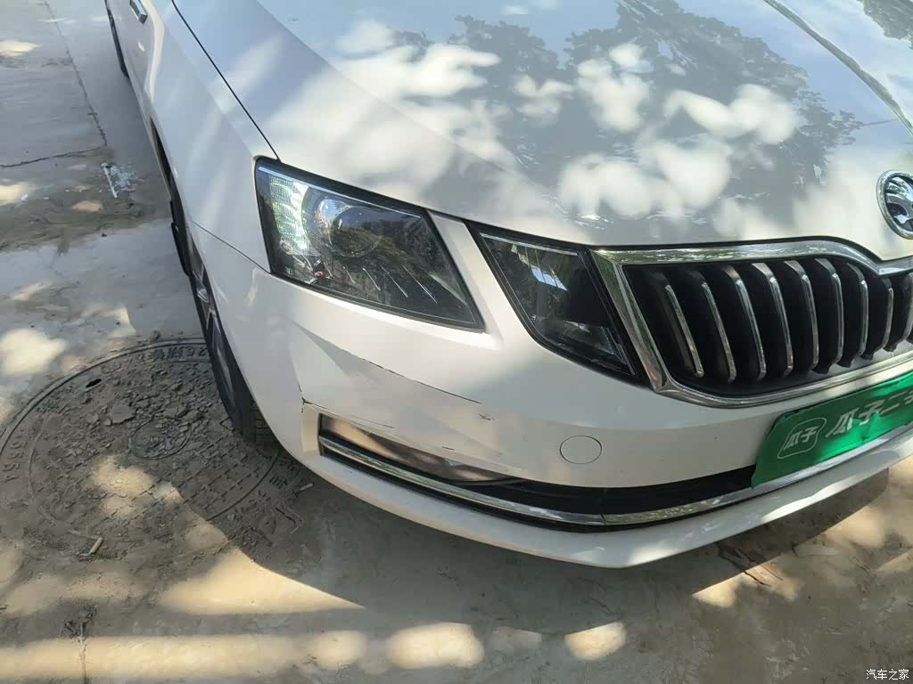 Skoda Octavia, 2021 14
