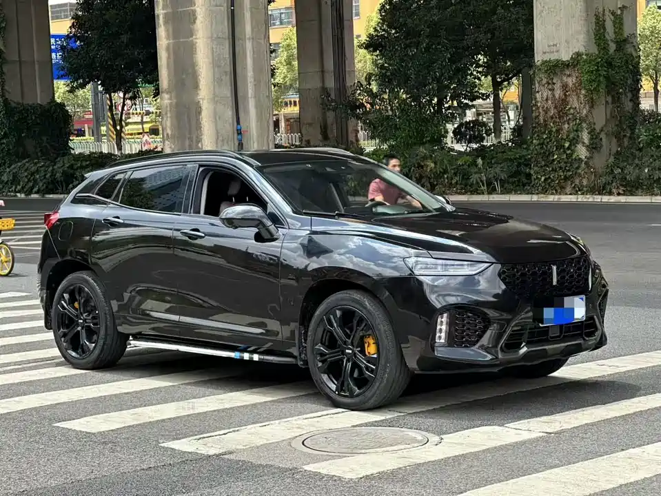 Weipai VV7