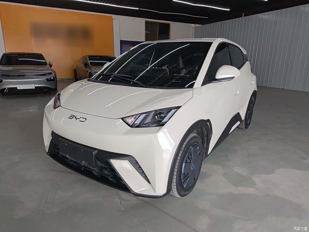 BYD Seagull, 2024 1