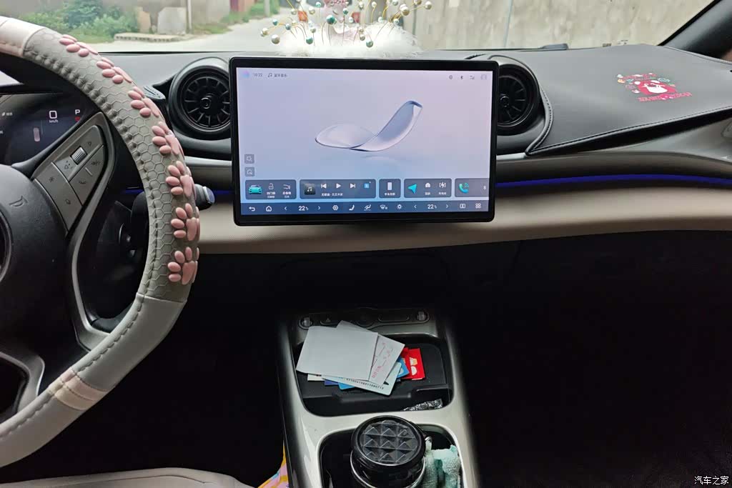 BYD Dolphin, 2025 13